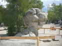 2014-06-05 12-07-45 Foret de Fontainebleau VGa